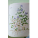 Le Guide Familial de l'Homeopathie