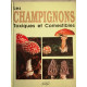 Les Champignons toxiques et comestibles