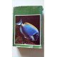 Encyclopedie illustrée des poissons