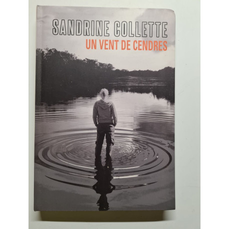 Un vent de cendres