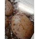 Les recettes au sel
