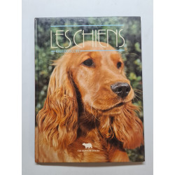 Les chiens kaleidoscope