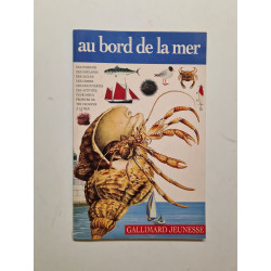 Au bord de la mer