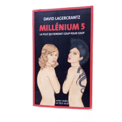 Millénium 5 - La fille qui rendait coup pour coup