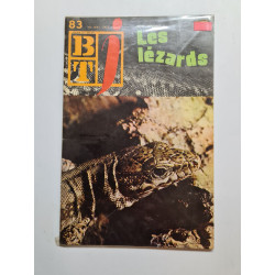 Le lezards