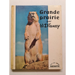 Grande prairie