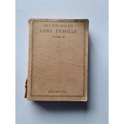 Sans famile Tome II