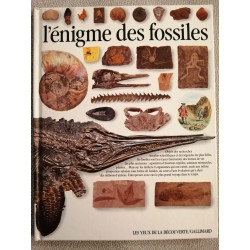 L'enigme des fossiles