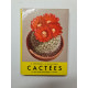 Cactées