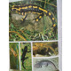 Le monde animal.tome xii.mammiferes...