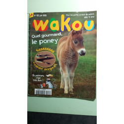 Wakou nº123 - Juin 1999