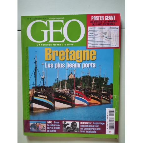 GEO un nouve monde: la Terre N.317 - Juillet 2005