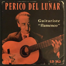Guitariste “Flamenco”
