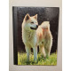 Mon Compagnon le Chien