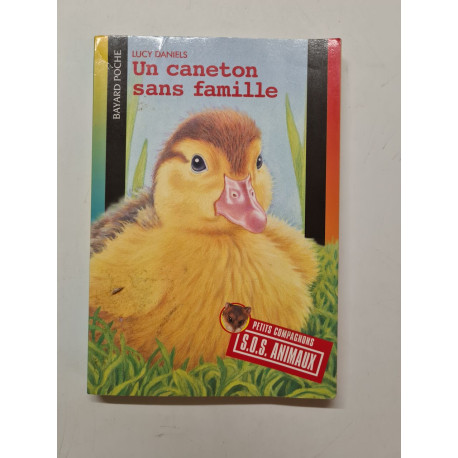 Un caneton sans famille