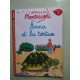 Anna et la tortue niveau 1 - J'apprends à lire Montessori