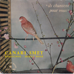 Canari Smet - Rossignols - Merle Noir