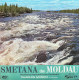 The Moldau