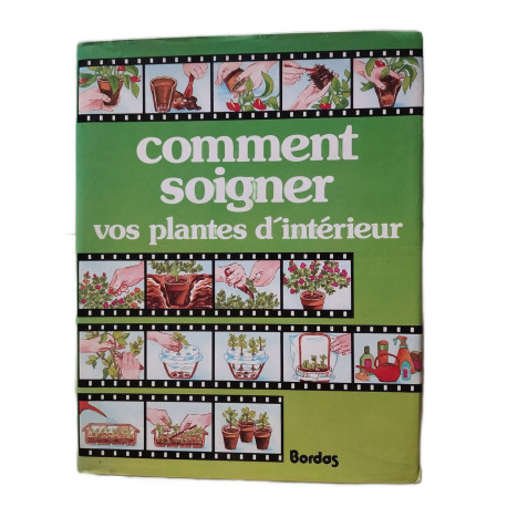 Comment soigner vos plantes d'intérieur
