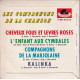 Cheveux Fous Et Lèvres Roses