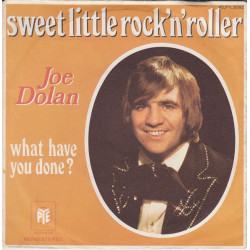 Sweet Little Rock 'N' Roller