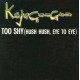 Too Shy (Hush Hush Eye To Eye)