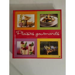 Plaisirs gourmands: 312 Recettes simples et gourmandes