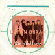 The Wild Boys
