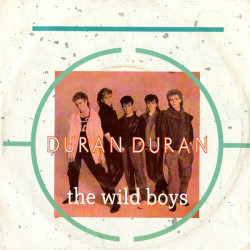 The Wild Boys