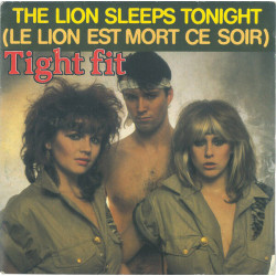 The Lion Sleeps Tonight Le Lion Est Mort Ce Soir