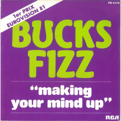 Making Your Mind Up