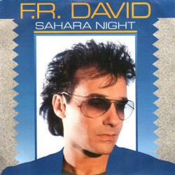 Sahara Night