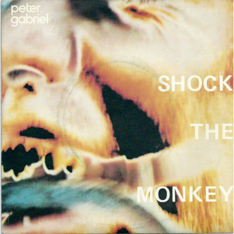 Shock The Monkey