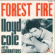 Forest Fire