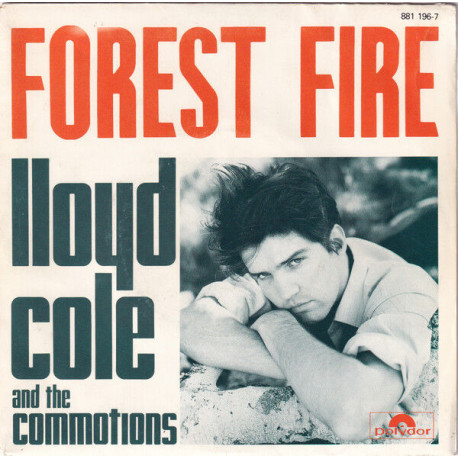 Forest Fire