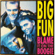 Blame It On The Boogie