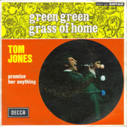 Green Green Grass Of Home