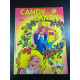 Candy candy n°6
