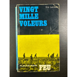 Vingt mille voleurs