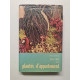 Guides des Plantes d'appartement