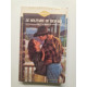 Le solitaire de bannack - bachelor from bannack