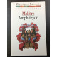 Amphitryon