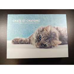 Chats et Chatons L'Agenda-Calendrier 2020