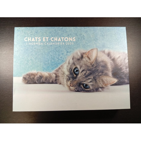 Chats et Chatons L'Agenda-Calendrier 2020