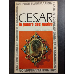 La guerre des Gaules