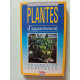 Plantes d'appartement