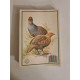 Gibier de chasse