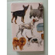 NOS CHIENS