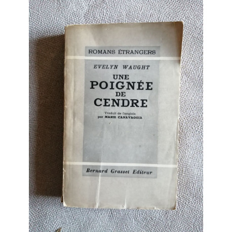 Une Poignée De Cendre