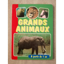 Grands animaux